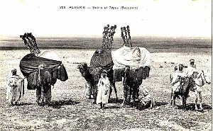 Images d'Algerie 185